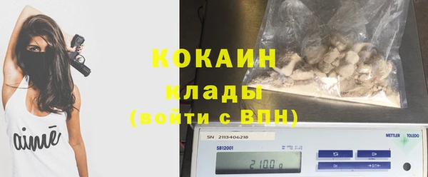 молекула духа Алексеевка