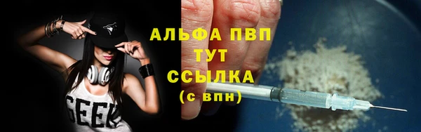 стаф Алзамай