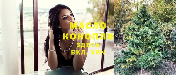 молекула духа Алексеевка